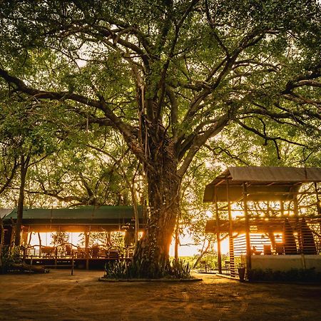 Askiesbos - Samochima Bush Camp Shakawe Esterno foto