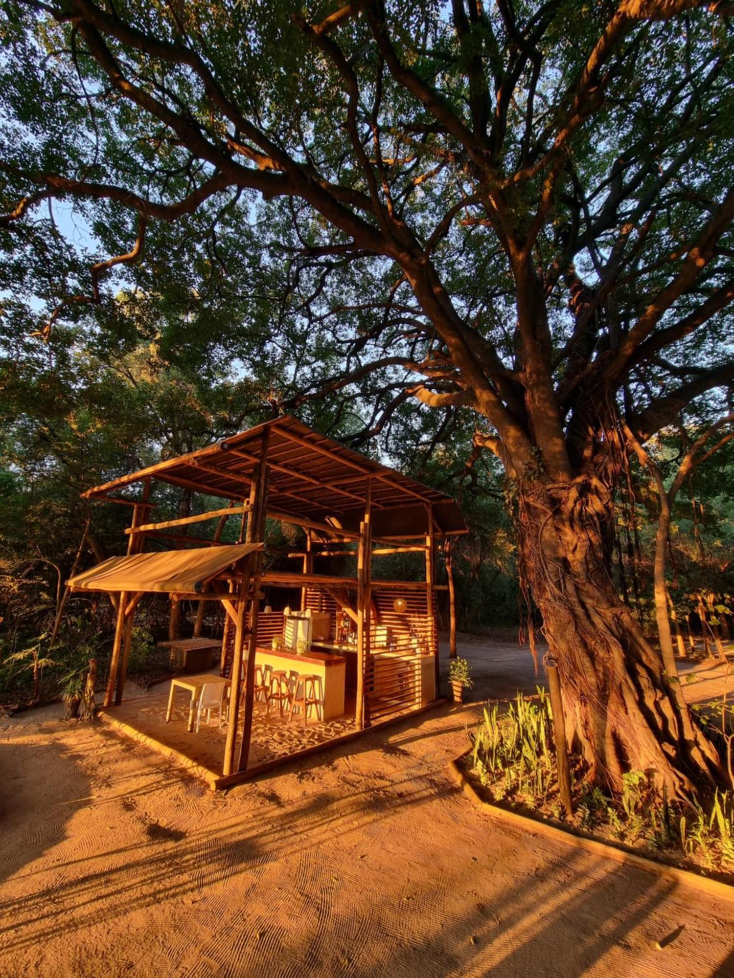 Askiesbos - Samochima Bush Camp Shakawe Esterno foto