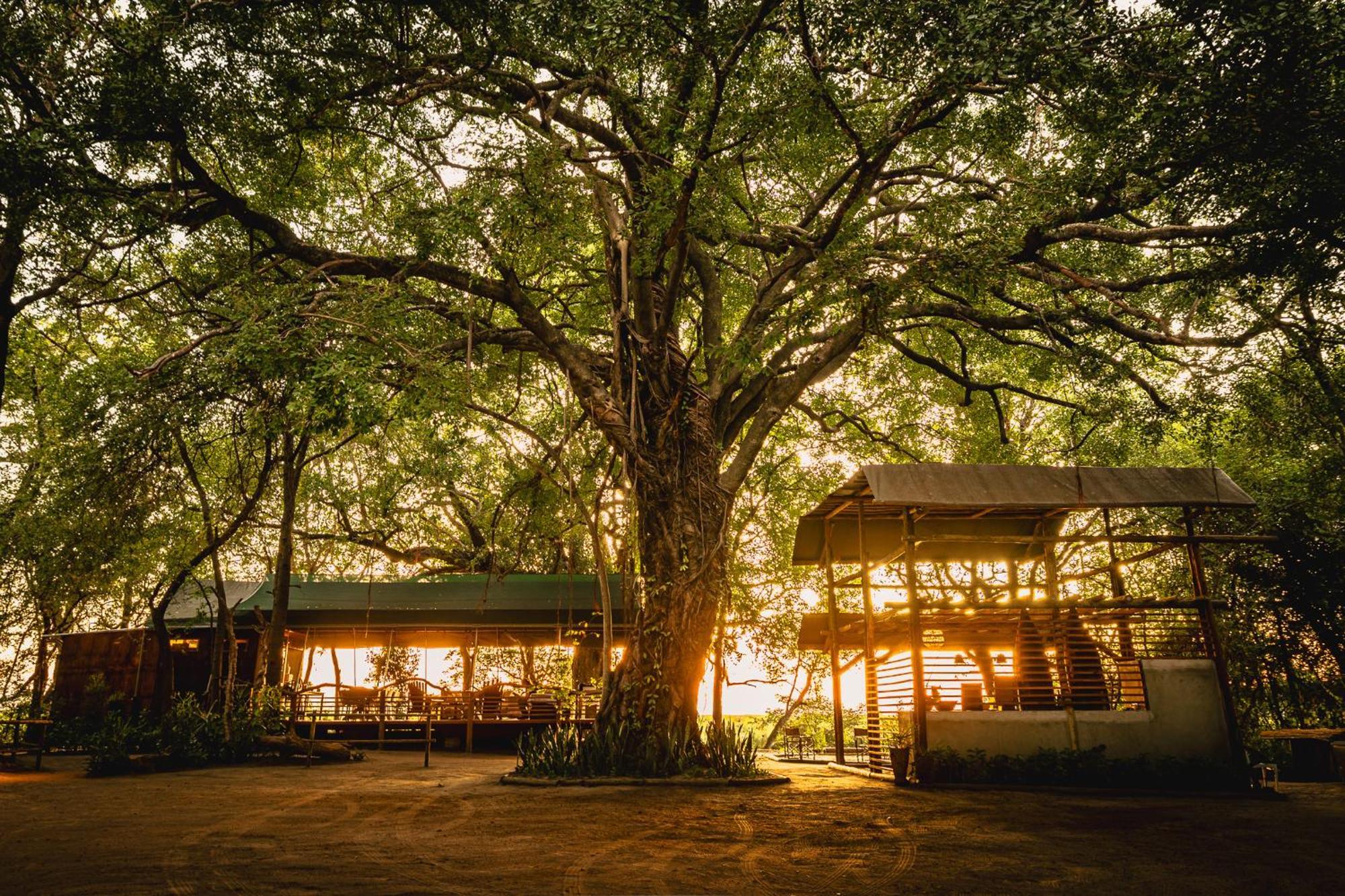 Askiesbos - Samochima Bush Camp Shakawe Esterno foto